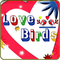 Love Birds