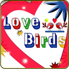Love Birds icône