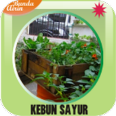 Ide Kebun Sayuran icon