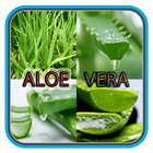 Benefits Of Aloe vera icon