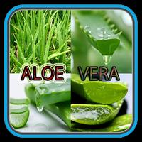 Benefits Of Aloe vera โปสเตอร์