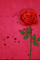 Rose Flower Wallpaper HD Best and Most Beautiful ภาพหน้าจอ 3