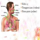 Belajar Pernafasan Manusia icon
