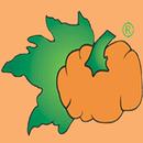 LA ZUCCA APK