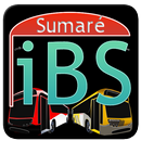 Intinerarios busao de Sumare-APK