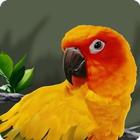 Bird Sounds 2016-New icono