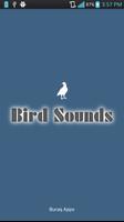 Bird Sounds 2016-New ポスター