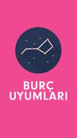 Burç Uyumları plakat