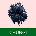 Chungi আইকন