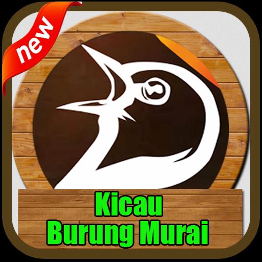 National Champion Murai Chirp Pour Android Telechargez L Apk