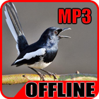 Suara Burung Kacer Juara Ngobra Offline icône