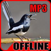 Suara Burung Kacer Juara Ngobra Offline capture d'écran 1