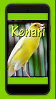 Suara Burung Kenari Mp3 スクリーンショット 3