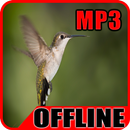 Kolibri Ninja Gacor Owor Owor Suara Burung Offline-APK
