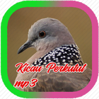 Kicau Perkutut Mp3 أيقونة