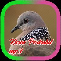 Kicau Perkutut Mp3 Cartaz