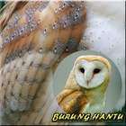 Ocehan Burung Hantu Mp3 أيقونة