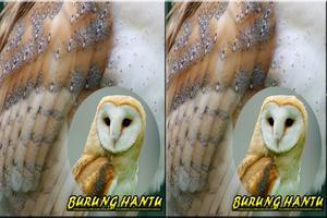 Ocehan Burung Hantu Mp3 截图 1