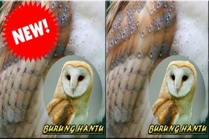 Ocehan Burung Hantu Mp3 تصوير الشاشة 2