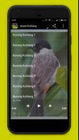 Suara Burung Kutilang Mp3 captura de pantalla 2