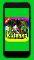 Suara Burung Kutilang Mp3 Affiche