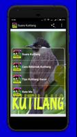 Suara Burung Kutilang Mp3 capture d'écran 1