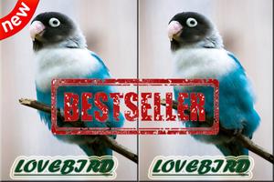 Master Ocehan Lovebirds Terbaik تصوير الشاشة 3