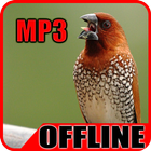 Suara Burung Pipit Offline icône