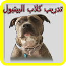 تدريب كلاب البيتبول - Pitbull APK