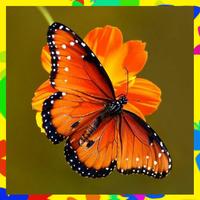 Specialist Wallpaper Butterfly স্ক্রিনশট 1