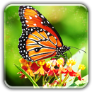 Butterfly wallpapers LWP APK