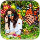 Butterfly Photo Frames HD Zeichen