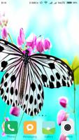 Butterfly Wallpapers Affiche