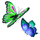 Butterfly Of Beauty APK