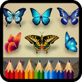 Butterfly Coloring Pages