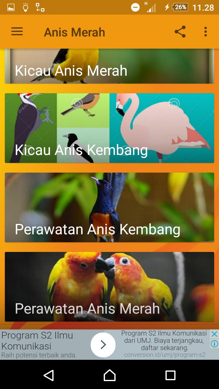 Anis Merah Mania For Android Apk Download
