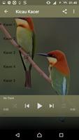 1000 Kicau Burung Pemikat اسکرین شاٹ 3