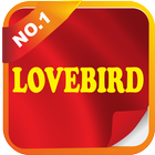 LOVEBIRD أيقونة