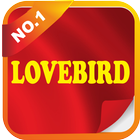 LOVEBIRD 图标