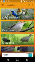 LOVEBIRD ภาพหน้าจอ 1