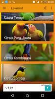 LOVEBIRD syot layar 2