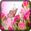 Butterfly Wallpapers for Chat