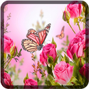 Butterfly Wallpapers for Chat-APK