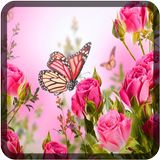 Butterfly Wallpapers for Chat simgesi