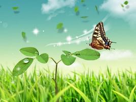 Butterfly Wallpapers for Chat Plakat