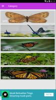 برنامه‌نما Butterfly Gallery عکس از صفحه