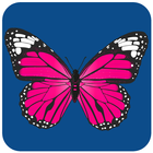 ikon Butterfly Wallpaper