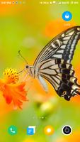 Butterfly Wallpaper ภาพหน้าจอ 3