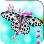 Butterfly Wallpapers icono