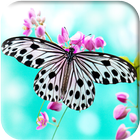 Butterfly Wallpapers simgesi